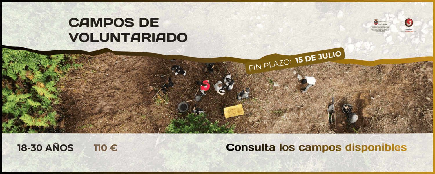 Campos de Voluntariado Internacionales